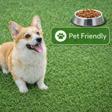 Dog standing on grass next to a bowl of dog food with a 'Pet Friendly' sign.