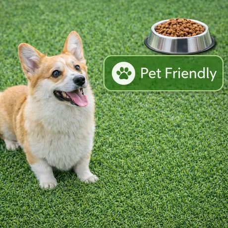 Dog standing on grass next to a bowl of dog food with a 'Pet Friendly' sign.