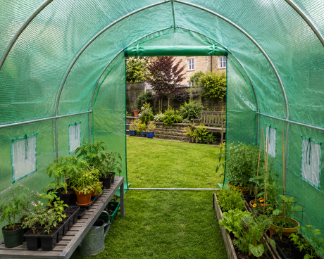 Greenhouse with plants and a view of a garden outside