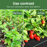 Heavy Duty Weed Control Membrane