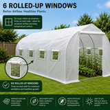 Polytunnel infographic showing 6 rolled-up ventilation windows, three on each side, for improved airflow, temperature control and pest prevention with close-up of roll mechanism