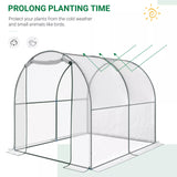 Walk In Polytunnel Greenhouse w/ Roll Up Door PVC Cover, 2.5 x 2m