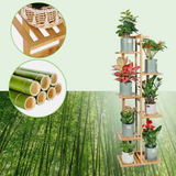 Wood Flower Display Plant Stand - 5/6 Tier Corner Shelf Storage Rack for Indoor/Outdoor